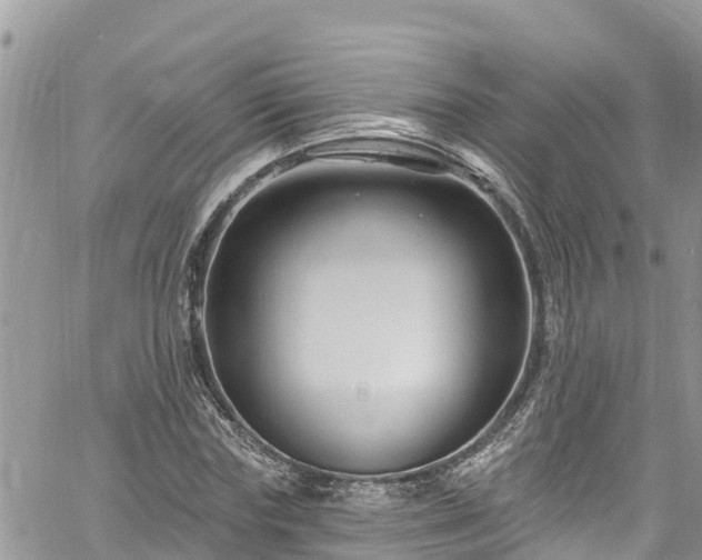 X0000061150827200511210959