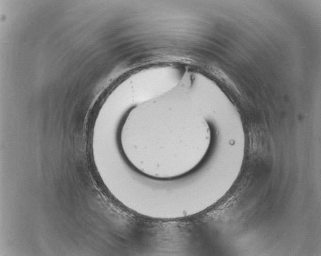 X0000061150828200511210959