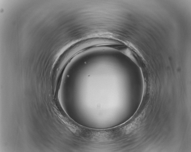 X0000061150830200511210959