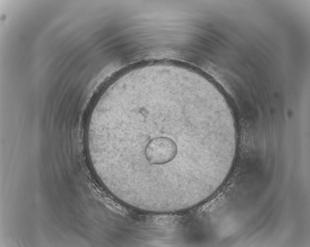 X0000061150832200511210959