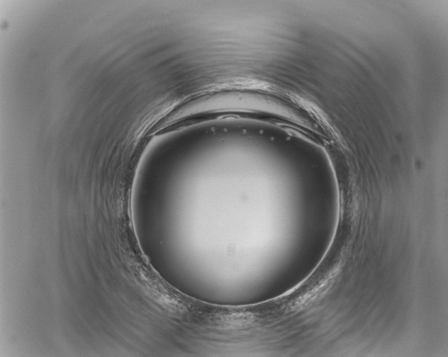 X0000061150833200511210959