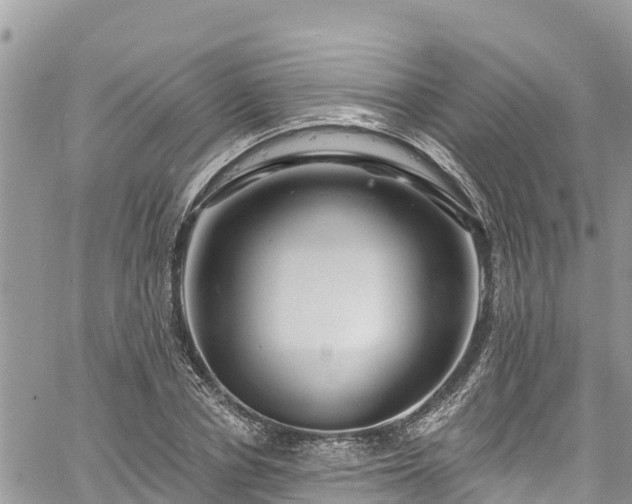 X0000061150834200511210959