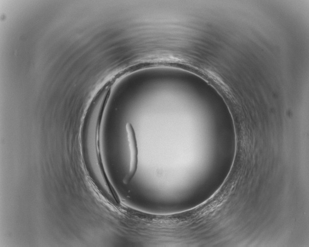 X0000061150840200511210959