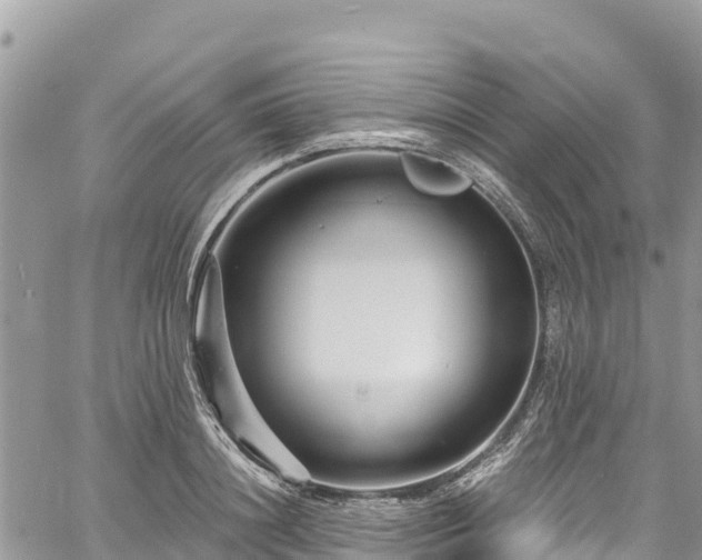 X0000061150844200511210959