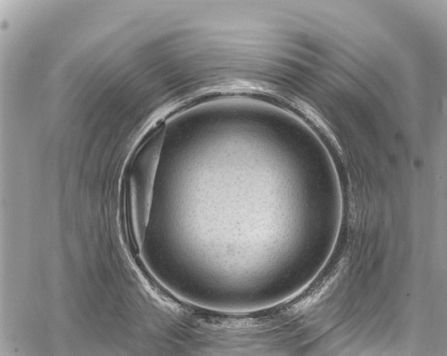 X0000061150845200511210959