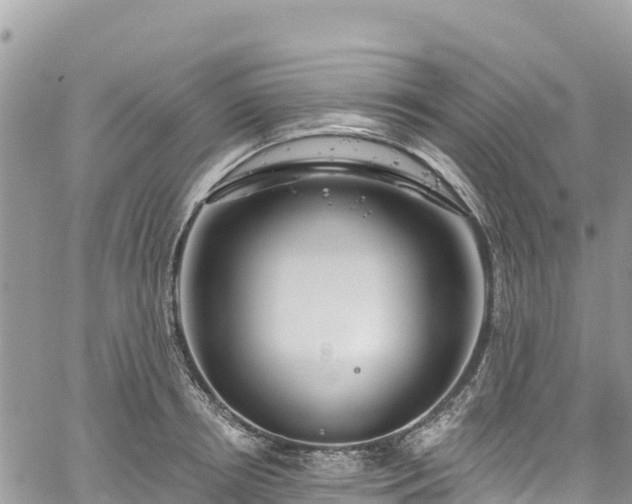 X0000061150850200511210959