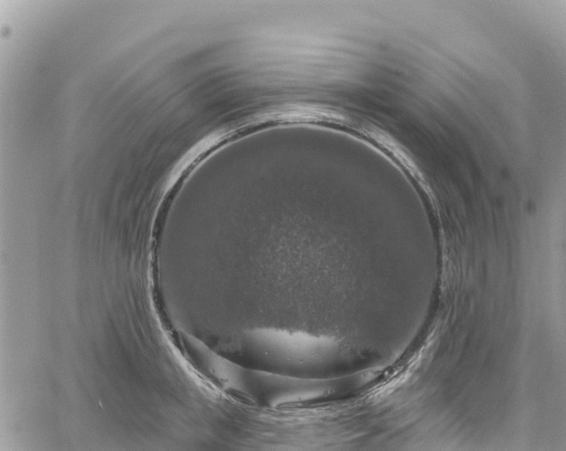 X0000061150853200511211000