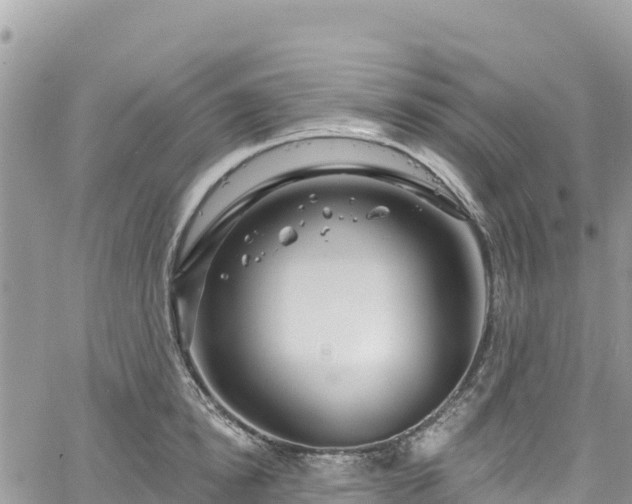 X0000061150854200511211000