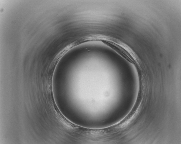 X0000061150857200511211000