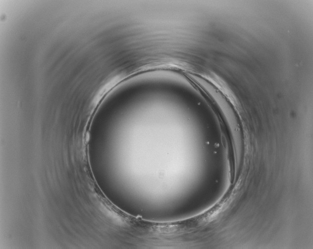 X0000061150858200511211000