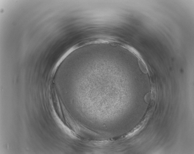 X0000061150859200511211000