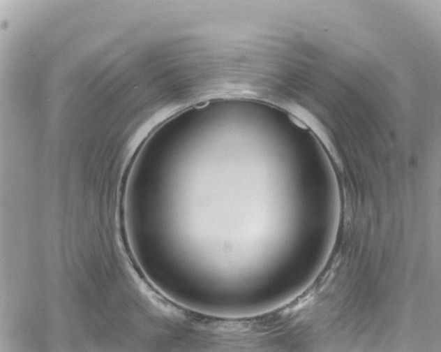 X0000061150861200511211000