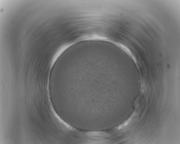 X0000061150863200511211000