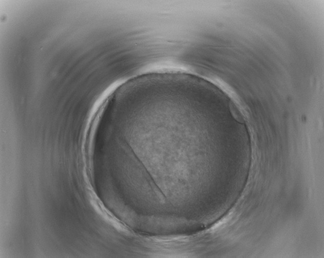 X0000061150864200511211000