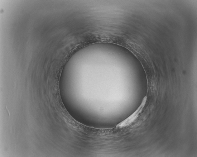 X0000061150865200511210959