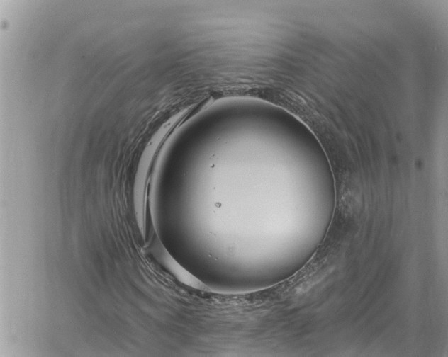 X0000061150866200511210959