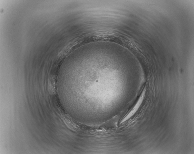 X0000061150868200511210959