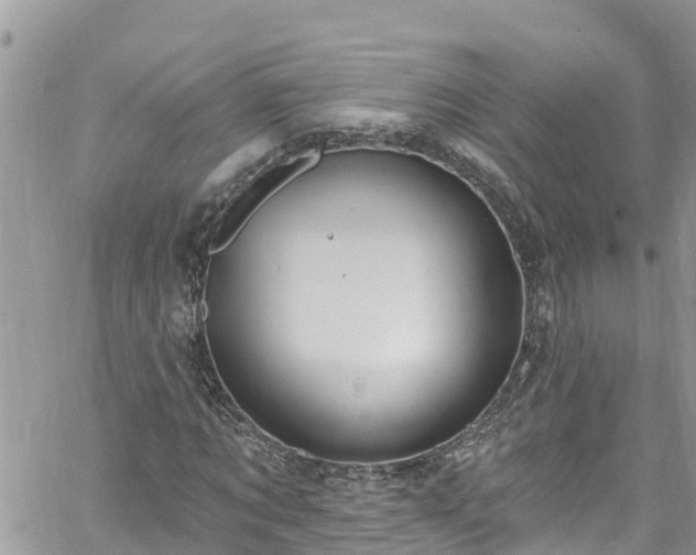 X0000061150869200511210959