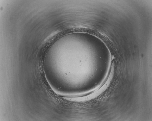 X0000061150870200511210959