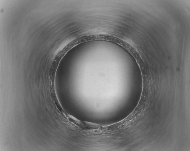 X0000061150871200511210959