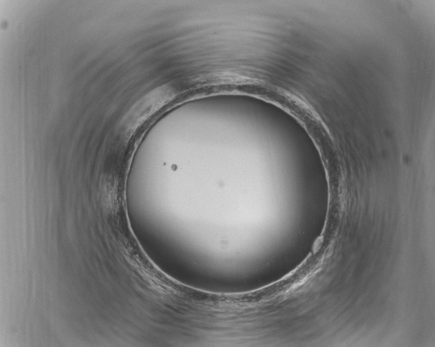 X0000061150873200511210959