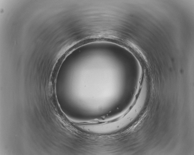 X0000061150876200511210959