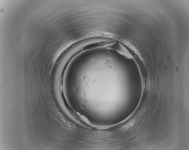 X0000061150877200511210959