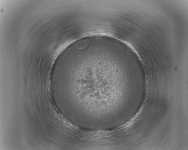 X0000061150879200511210959