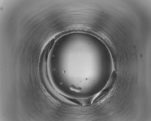 X0000061150880200511210959