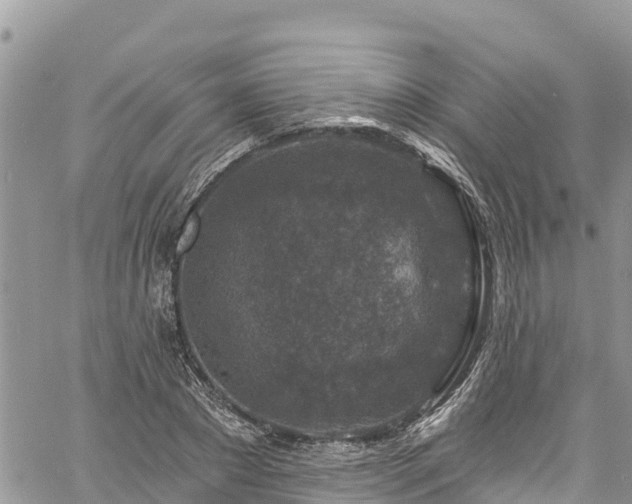 X0000061150881200511210959