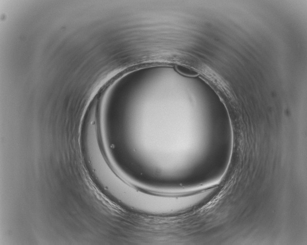 X0000061150884200511210959