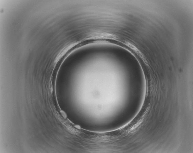 X0000061150885200511210959