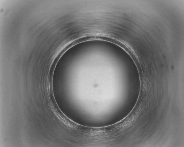 X0000061150887200511210959