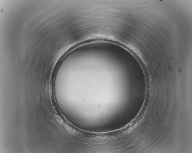 X0000061150888200511210958