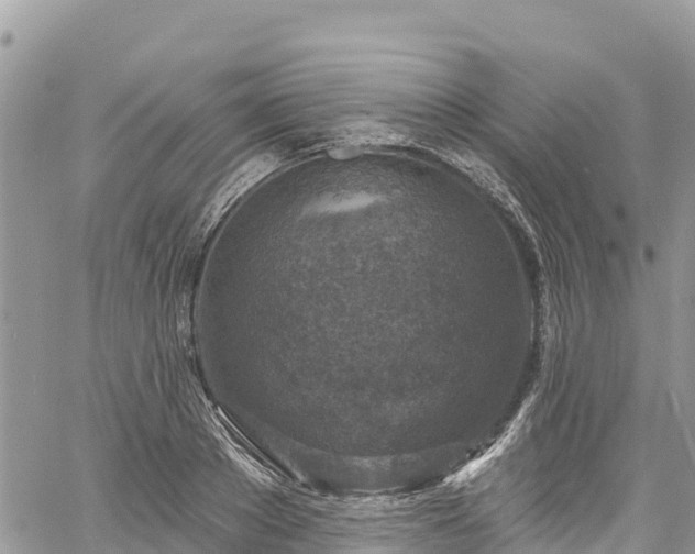 X0000061150889200511210958