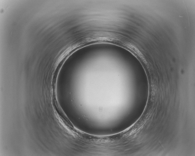 X0000061150890200511210958