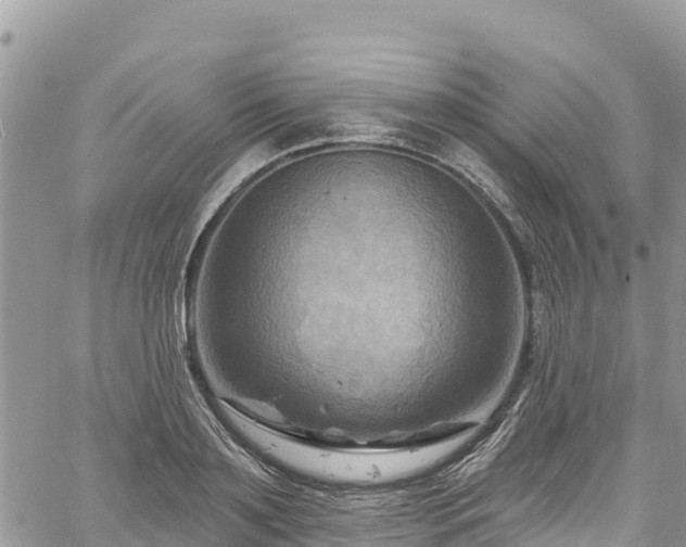 X0000061150891200511210958