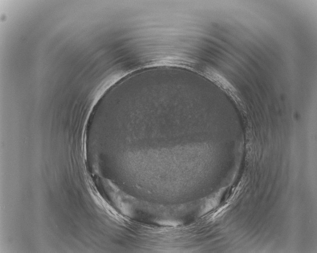 X0000061150892200511210958