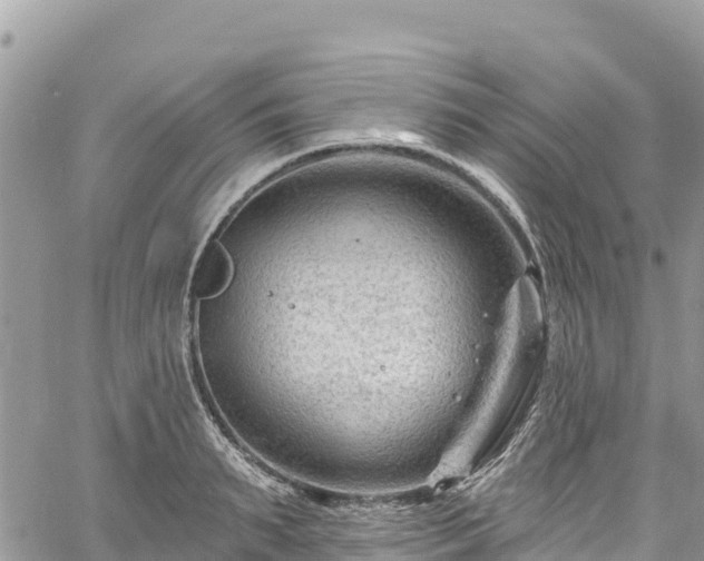 X0000061150895200511210958