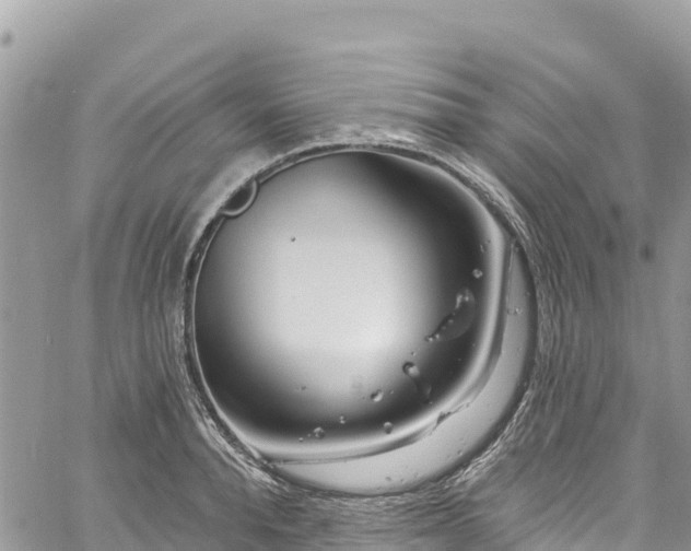 X0000061150896200511210958