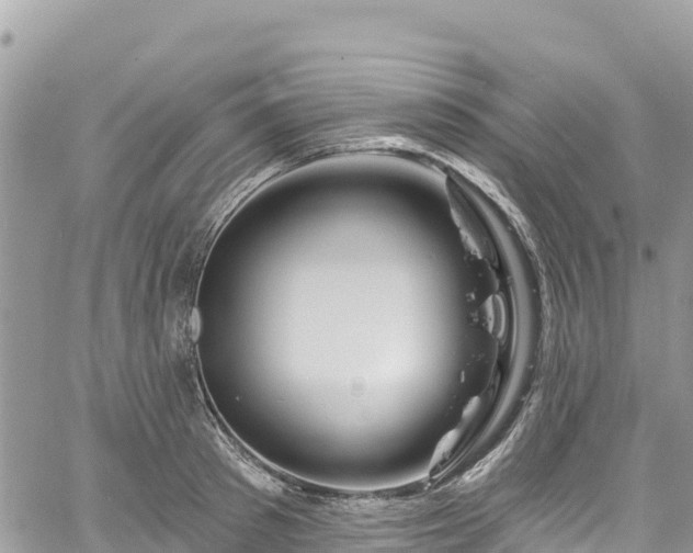 X0000061150897200511210958