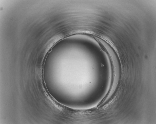 X0000061150898200511210958