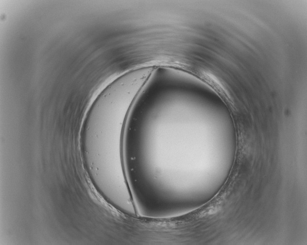 X0000061150900200511210958