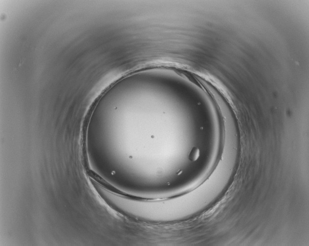 X0000061150902200511210958