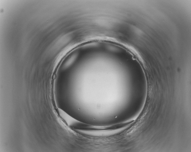 X0000061150903200511210958