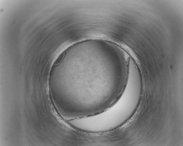 X0000061150904200511210958