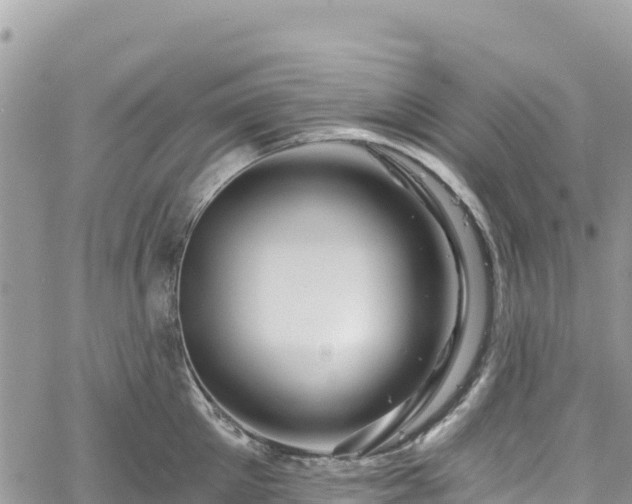 X0000061150905200511210958