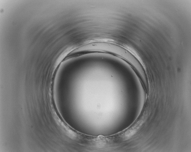 X0000061150906200511210958