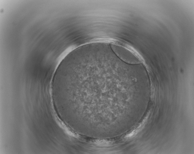 X0000061150907200511210958