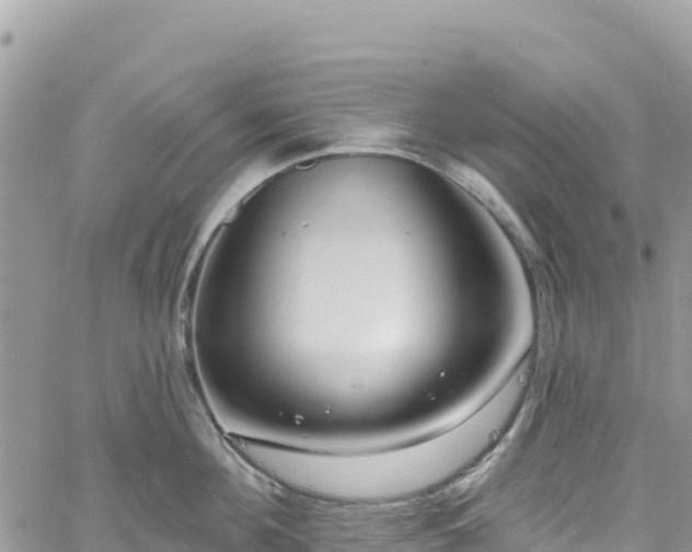 X0000061150908200511210958